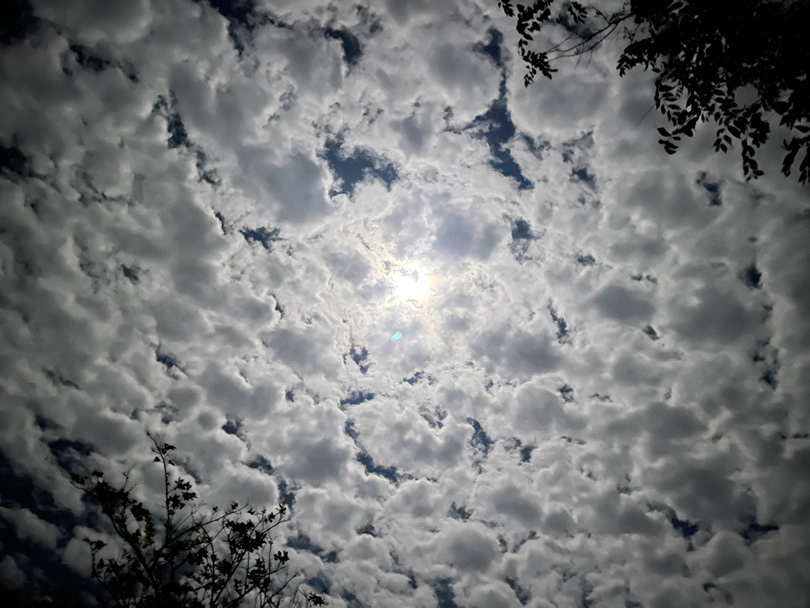 フォト] 月光に輝く美しい雲たち（皆既月食翌日） ～空は大自然の