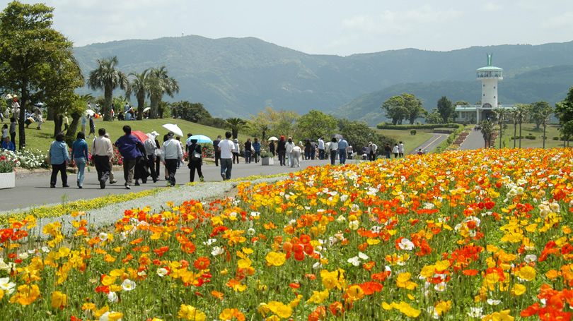 霧島ヶ丘公園 かのやファン倶楽部