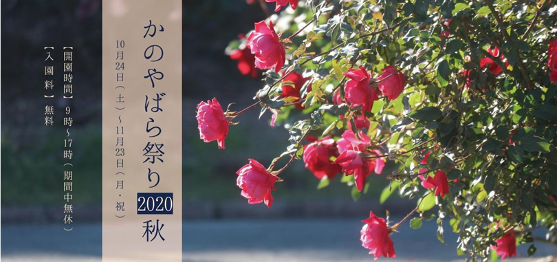 かのやばら祭り秋 年10月24日 11月23日 かのやファン倶楽部